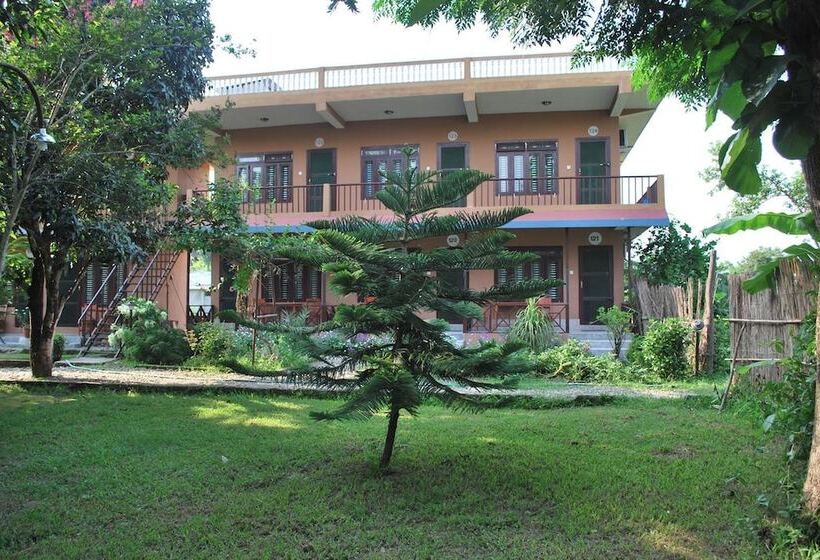 Fotos del hotel Traveller Jungle Camp:  1