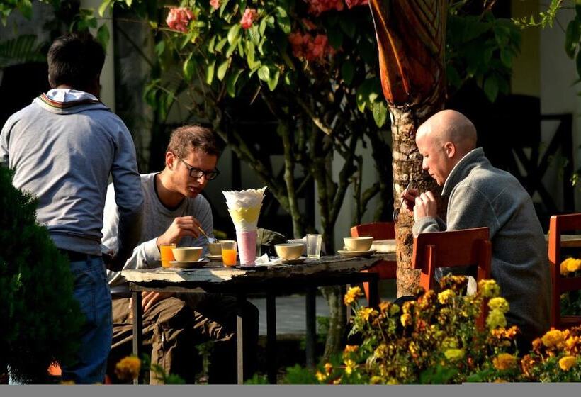 Fotos del hotel Traveller Jungle Camp:  11