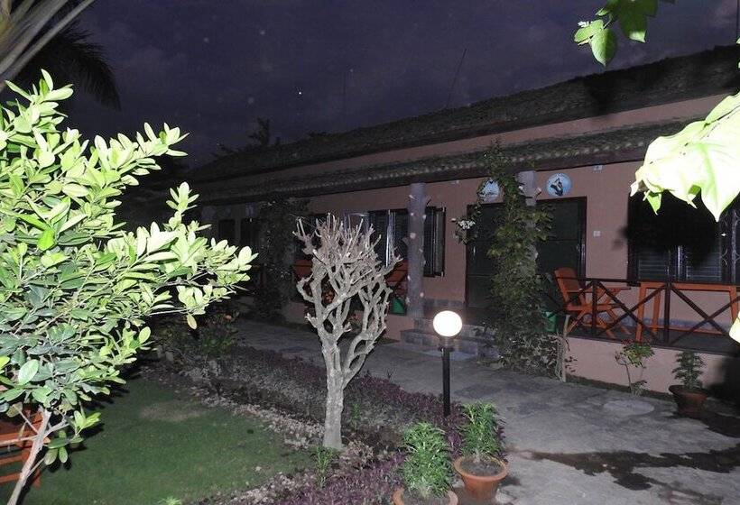 Fotos del hotel Traveller Jungle Camp:  25