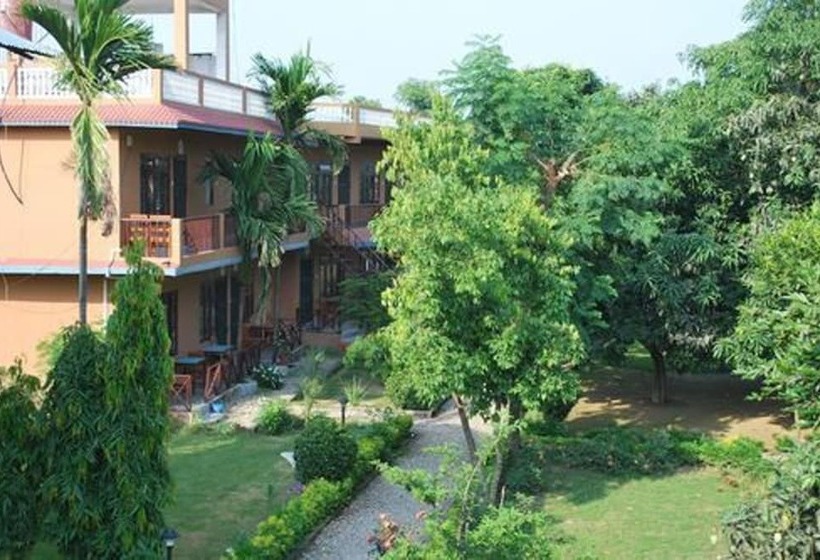 Fotos del hotel Traveller Jungle Camp:  15