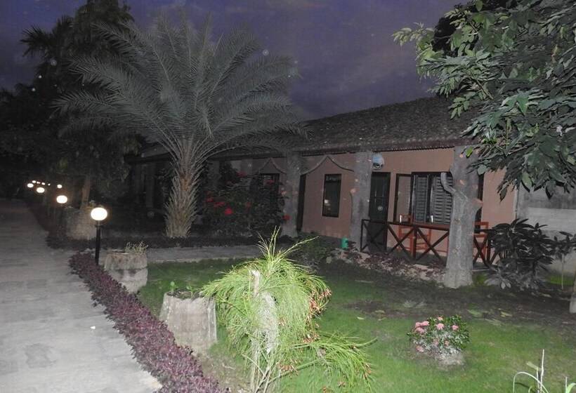 Fotos del hotel Traveller Jungle Camp:  24