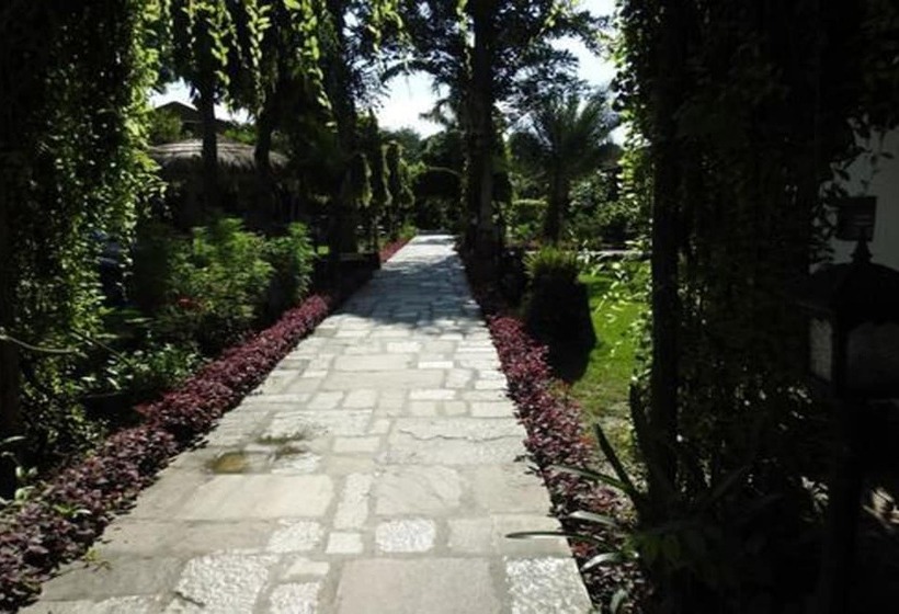 Fotos del hotel Traveller Jungle Camp:  5