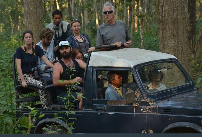 Fotos del hotel Traveller Jungle Camp:  18