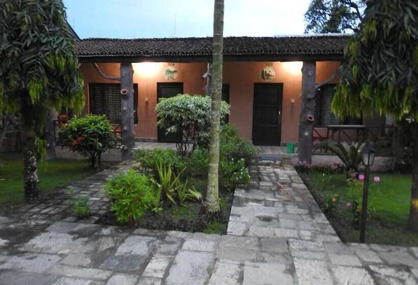 Fotos del hotel Traveller Jungle Camp:  20