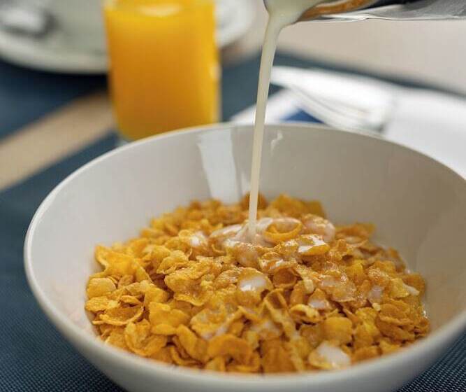 Fotos del hotel Oporto Airport & Business:  6