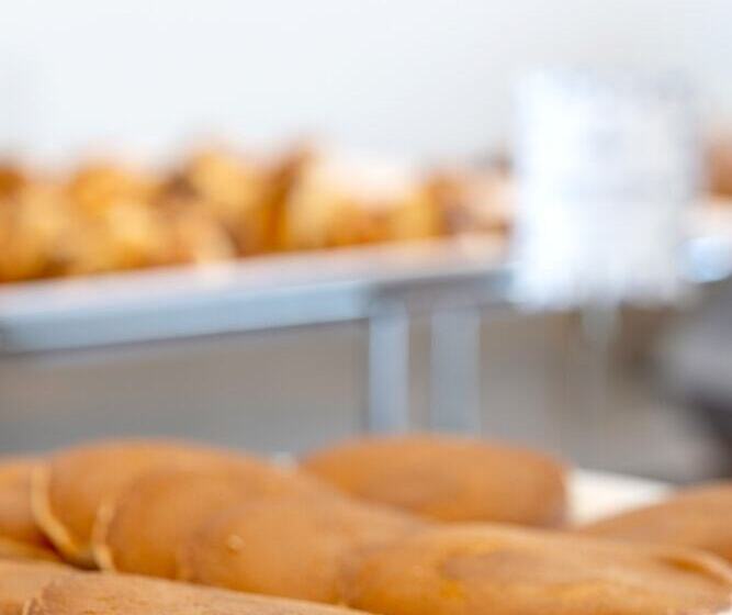 Fotos del hotel Oporto Airport & Business:  22