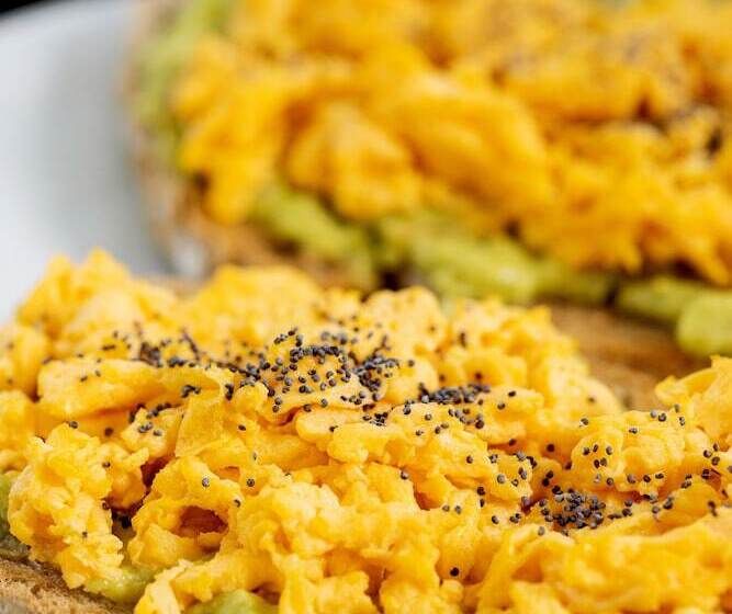 Fotos del hotel Oporto Airport & Business:  16