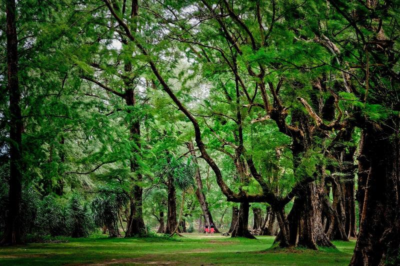 Fotos del hotel Naiyang Park Resort:  5