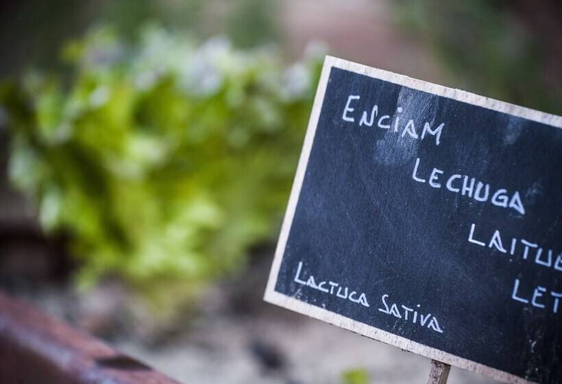 Fotos del hotel Suites Natura Mas Tapiolas:  7