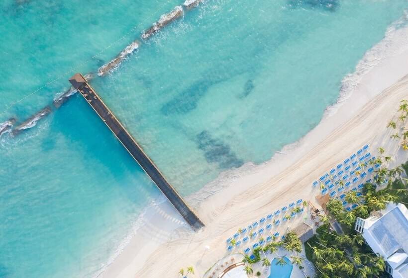 Fotos del hotel Impressive Premium Punta Cana:  14