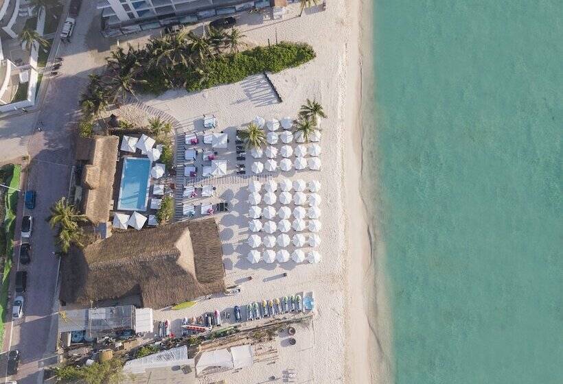 Bfh Attraction  Deluxe By Bfh