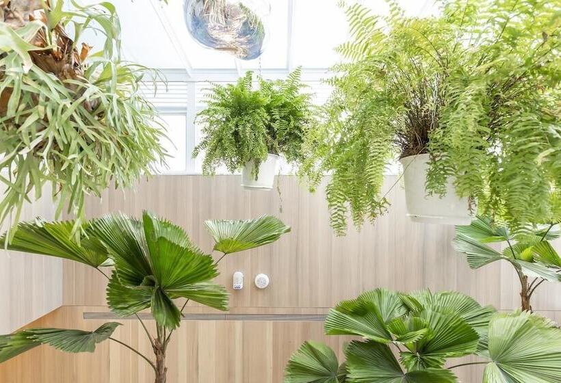 Fotos del hotel Inhouse Hotel Grand:  25