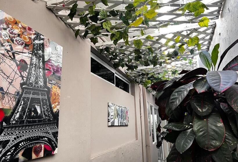 Fotos del hotel Casa Boston By Dot Light:  13