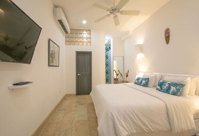 Fotos del hotel Suite Boutique El Cactus:  19