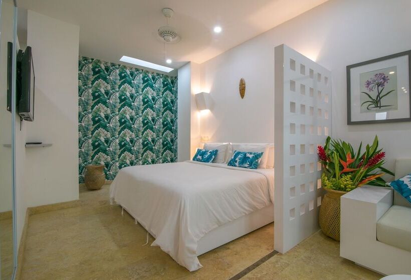 Fotos del hotel Suite Boutique El Cactus:  18