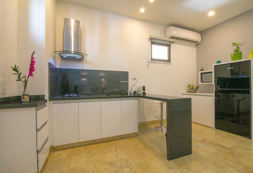 Fotos del hotel Suite Boutique El Cactus:  4