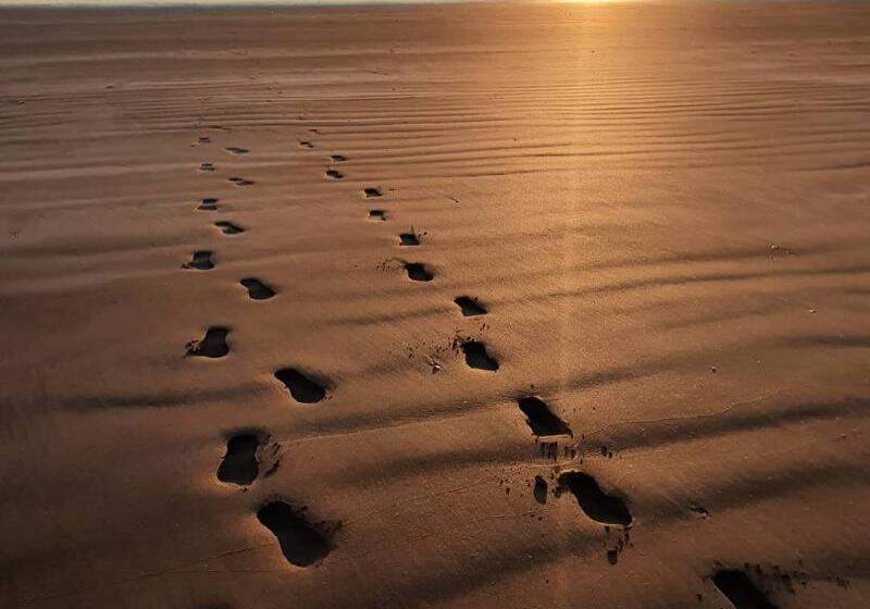 Fotos del hotel Kingfisher Lodge:  4