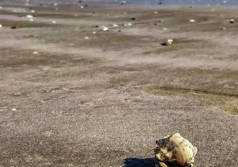 Fotos del hotel Kingfisher Lodge:  8