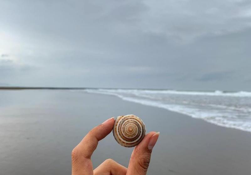 Fotos del hotel Kingfisher Lodge:  9