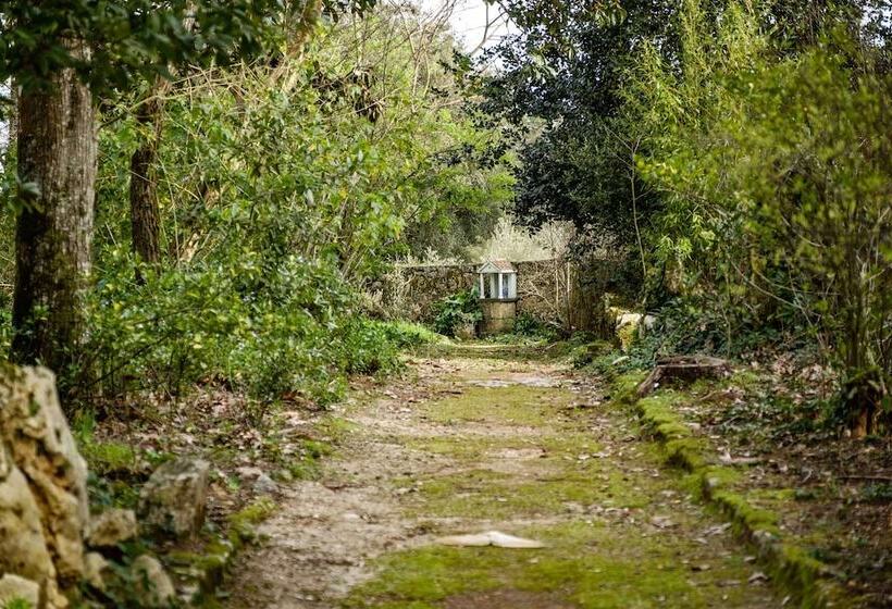 Fotos del hotel Sdivine Fatima Hotel, Congress & Spirituality:  5