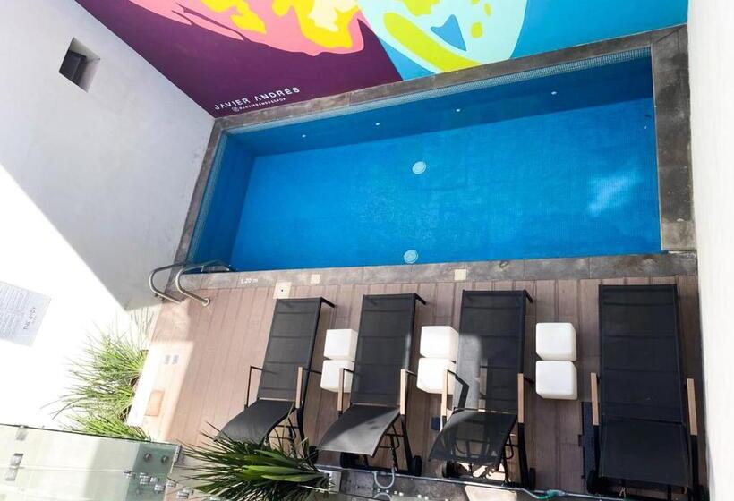 Fotos del hotel The Andy:  10