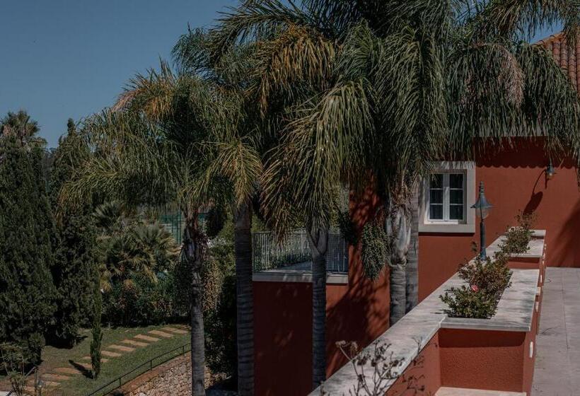 Fotos del hotel Palacio São Silvestre-boutique:  13