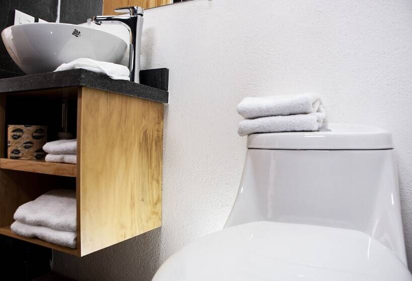 Fotos del hotel Romance Morelia:  14