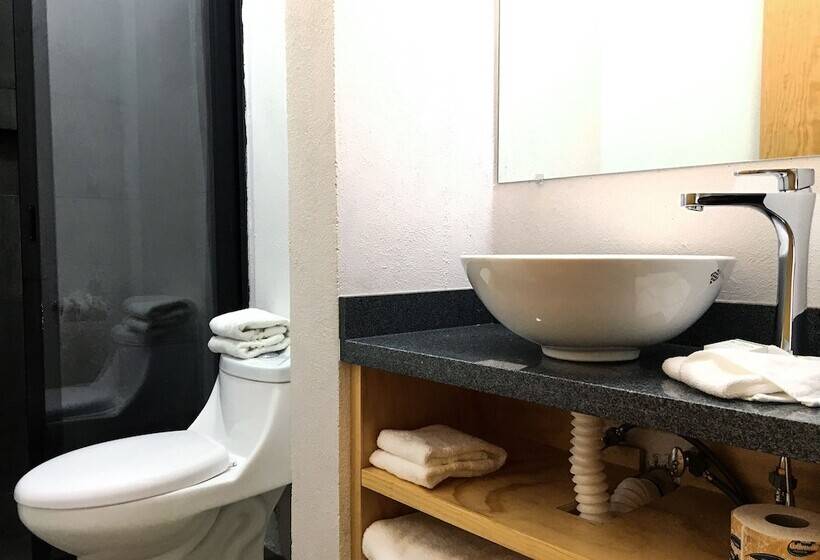 Fotos del hotel Romance Morelia:  10