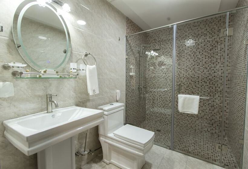 Fotos del hotel Daniel Hill:  8