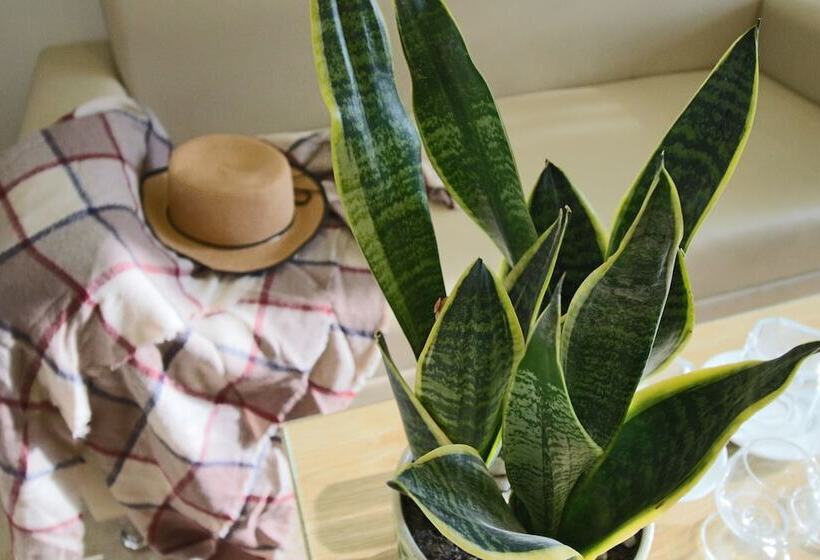 Fotos del hotel Gold Summer 2:  18