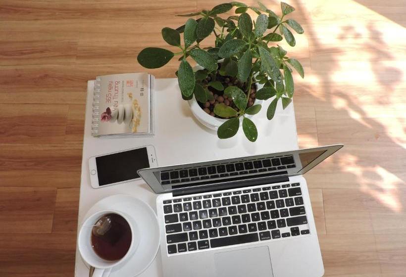 Fotos del hotel Chez Mimosa:  7