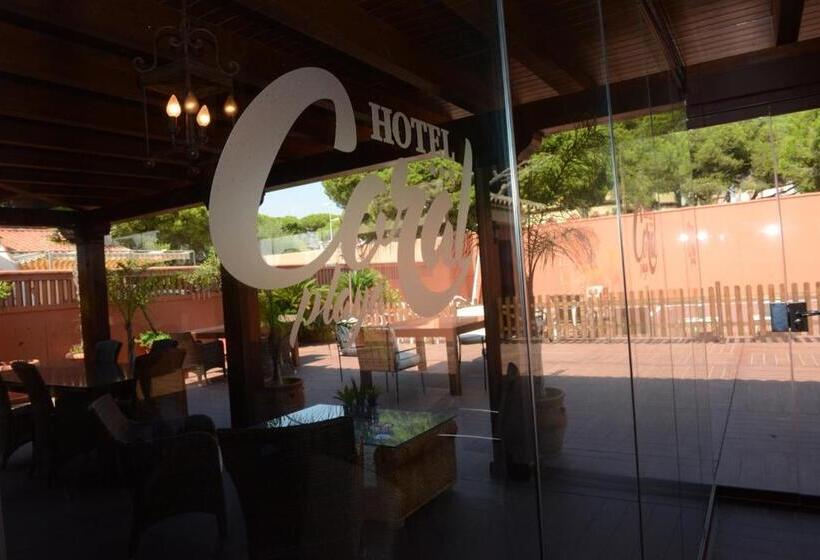 Fotos del hotel Coral Playa:  15