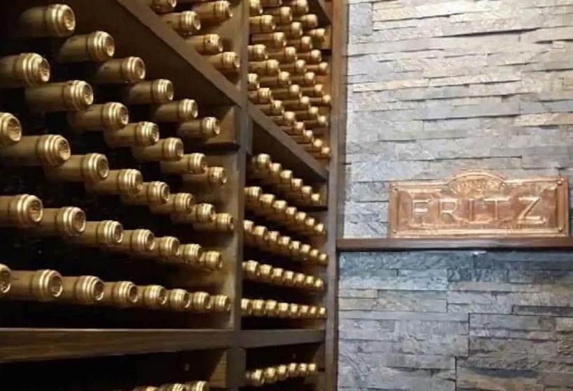 Fotos del hotel Paryski Art & Business:  21