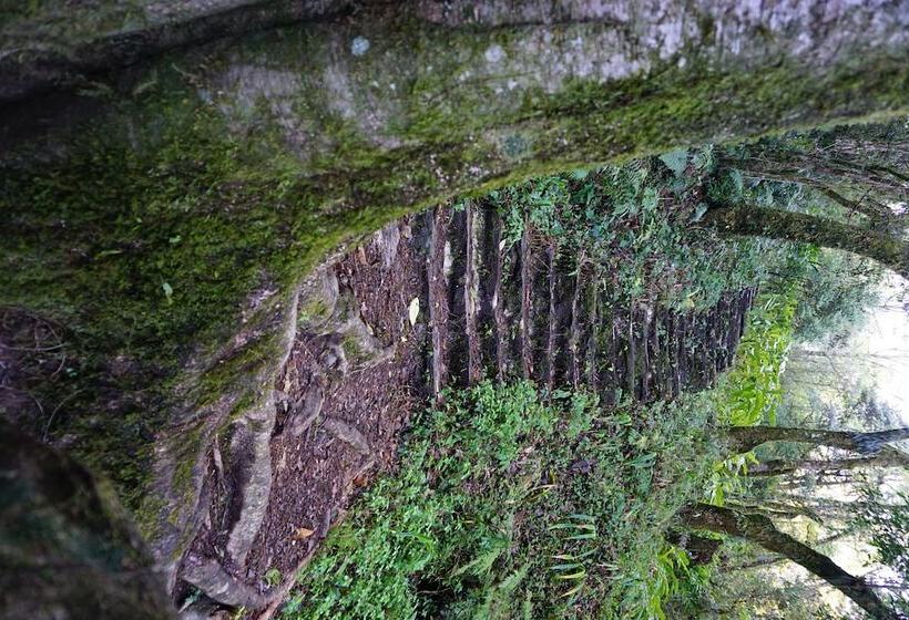 Fotos del hotel Hilton Garden Inn Nujiang:  25