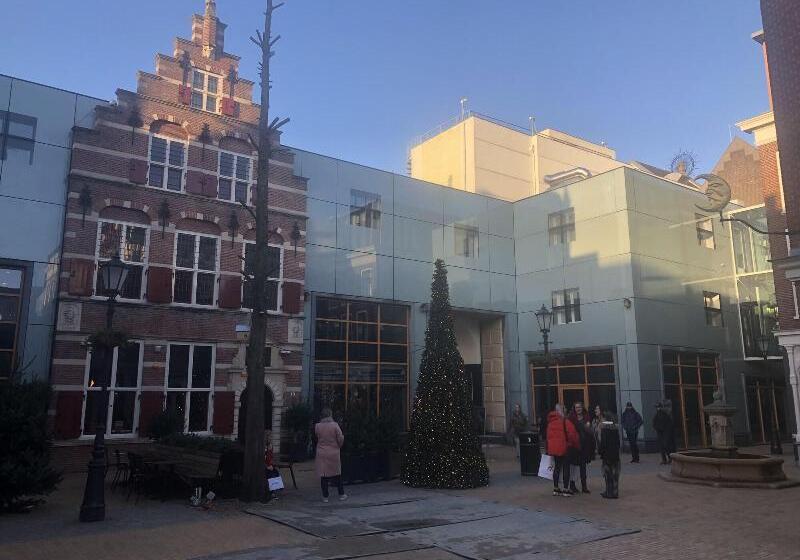 Fotos del hotel The Collector:  12