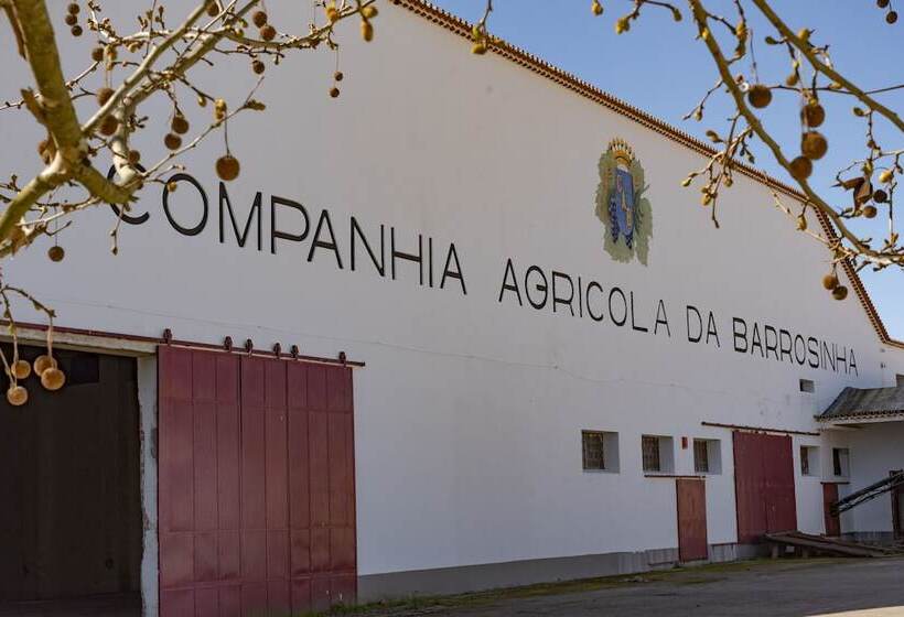 Fotos del hotel Da Barrosinha:  15