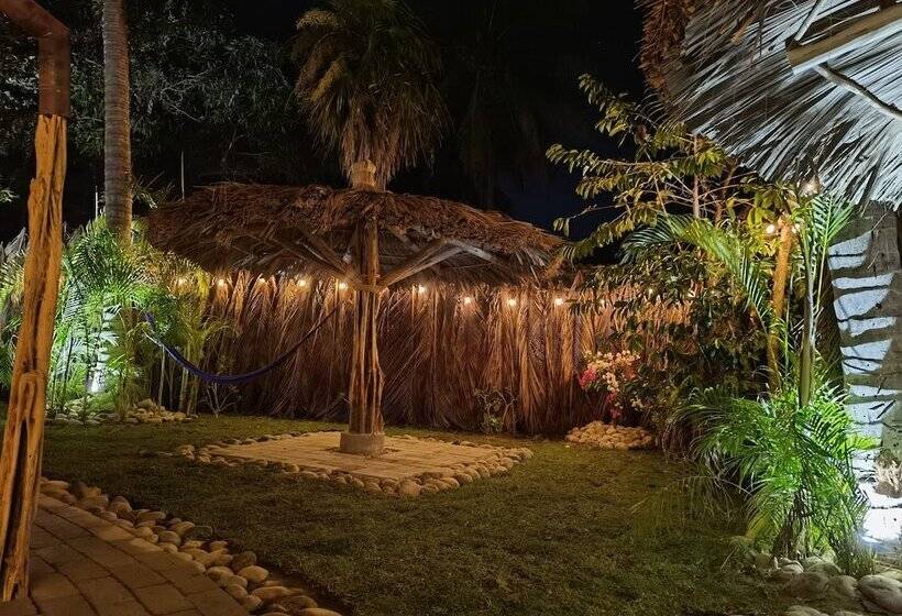 Fotos del hotel Ashly Loma Larga:  12