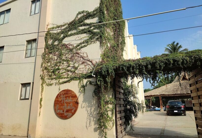 Fotos del hotel Ashly Loma Larga:  14