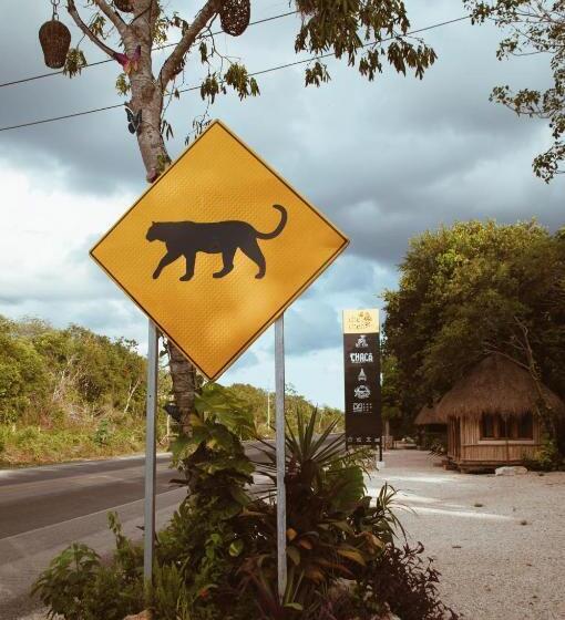 Fotos del hotel Chacá:  3