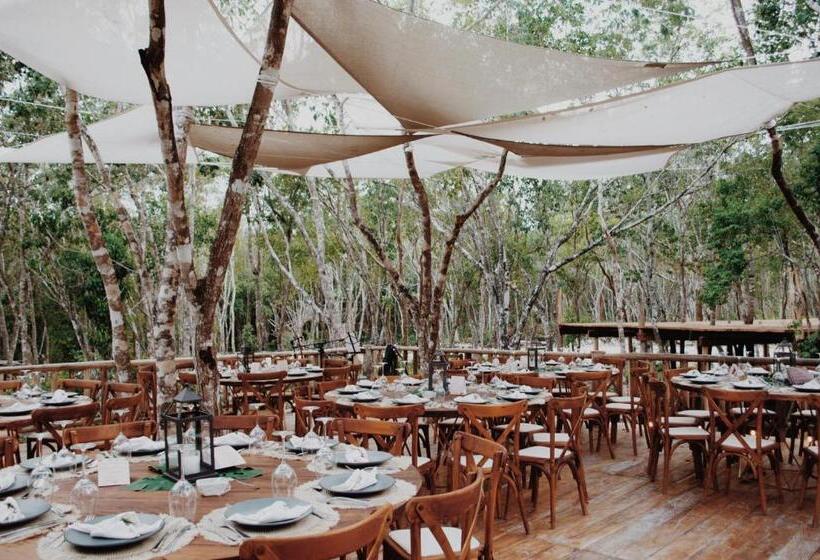 Fotos del hotel Chacá:  16