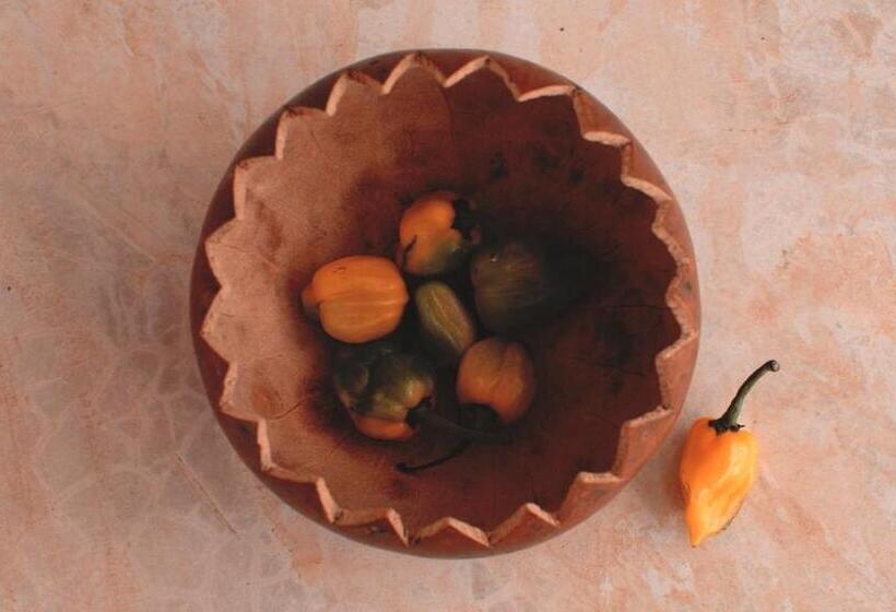 Fotos del hotel Chacá:  21