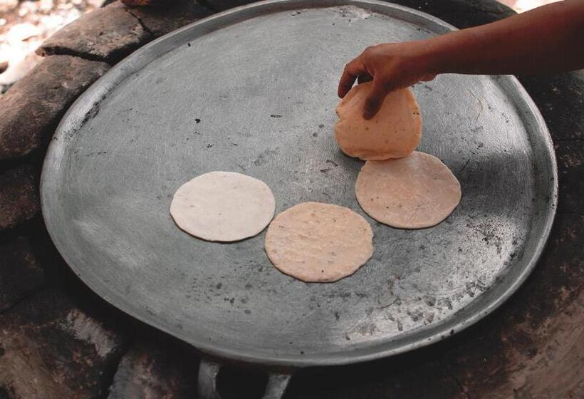 Fotos del hotel Chacá:  20