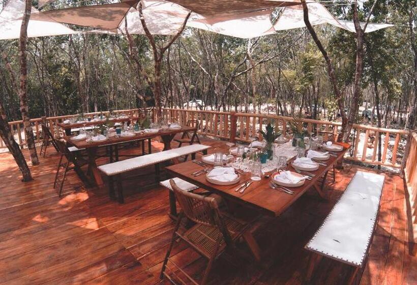 Fotos del hotel Chacá:  18