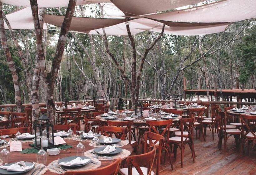 Fotos del hotel Chacá:  17