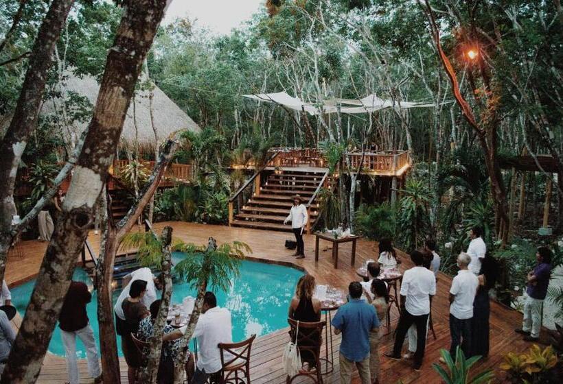 Fotos del hotel Chacá:  15