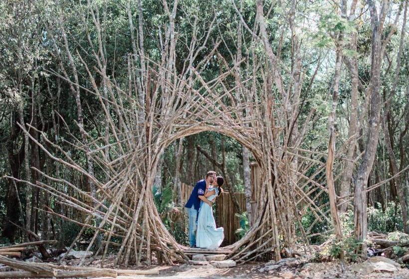 Fotos del hotel Chacá:  13