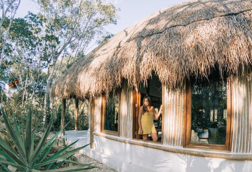 Fotos del hotel Chacá:  11