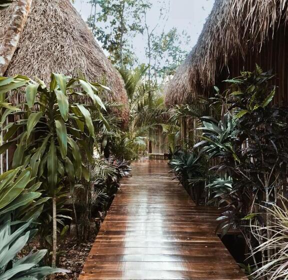 Fotos del hotel Chacá:  10