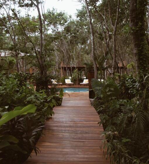 Fotos del hotel Chacá:  9