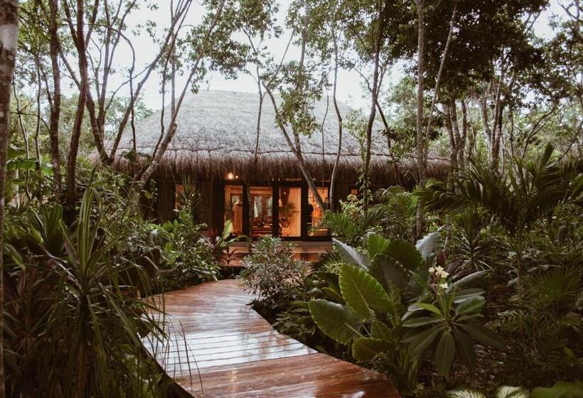 Fotos del hotel Chacá:  8